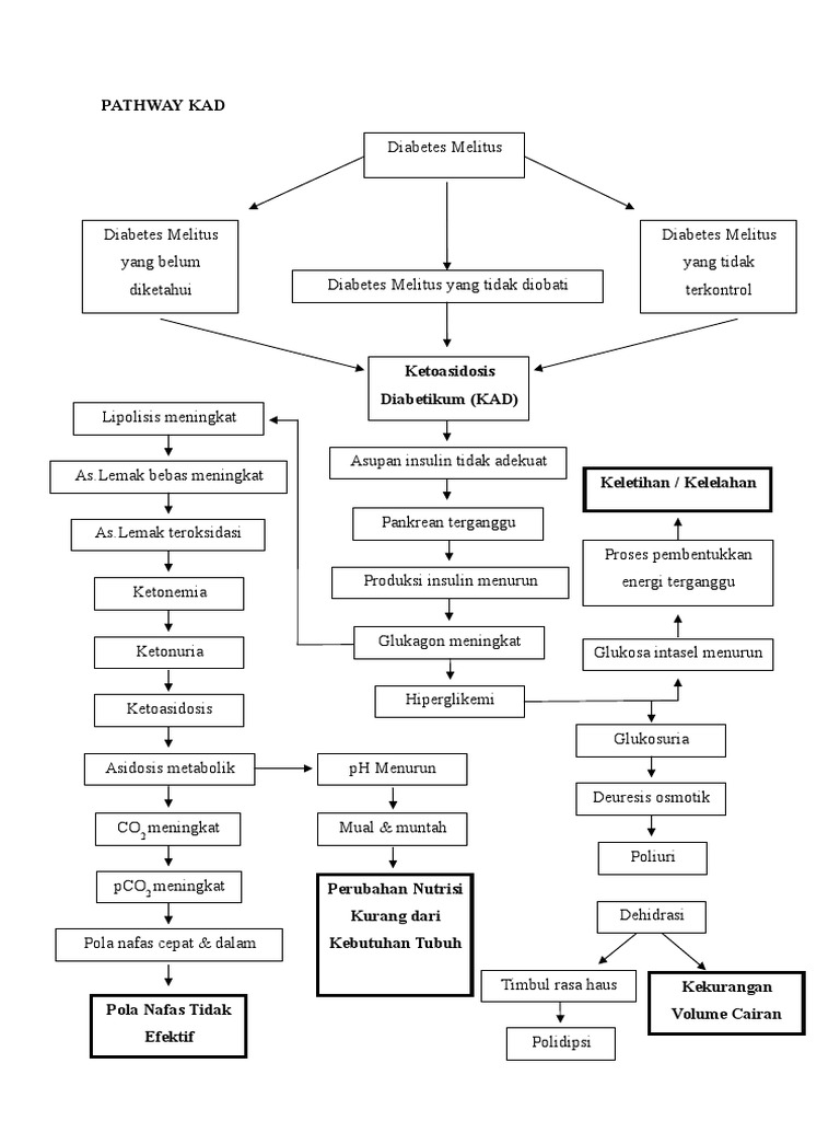 Protokol dan Pathway Ketoasidosis Diabetik | PDF