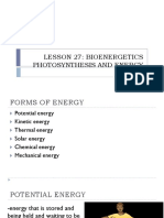 Lesson 27: Bioenergetics Photosynthesis and Energy Flow