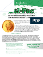 Gel-Pac® Enables Hatchery Vaccination With IB and Coccidiosis in Combination