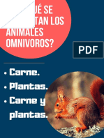 ¿De Qué Se Alimentan Los Animales