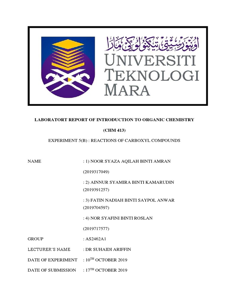 Organic Chemistry Lab Report Experiment 5 and 6 PDF Amine Acetic Acid