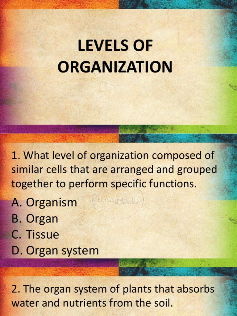 Levels of Organization Quiz PDF Organ (Anatomy) Tissue (Biology)