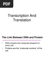 Protein Synthesis Notes PDF | PDF