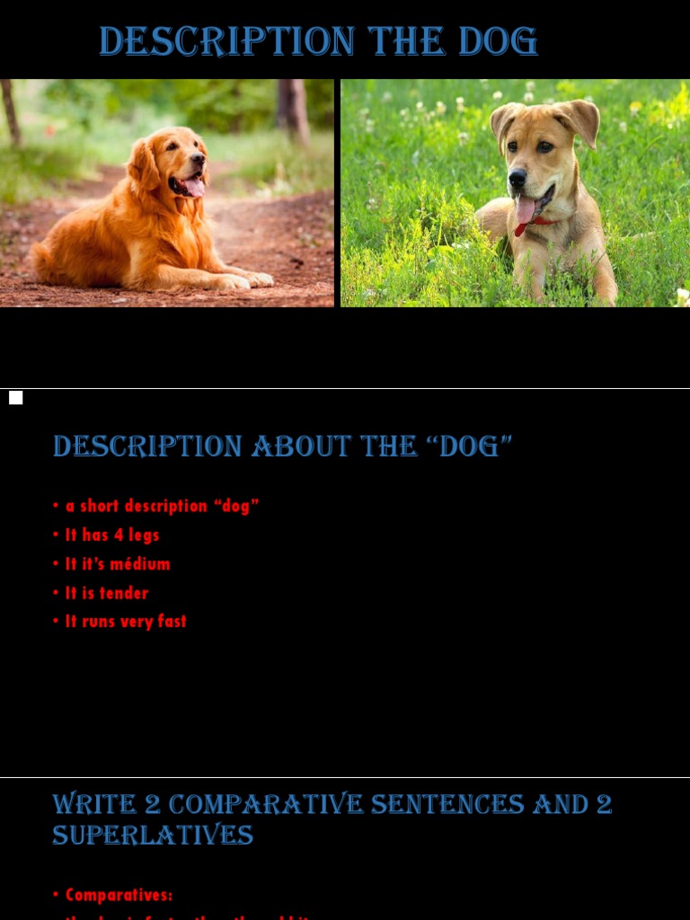 Dog Characteristics and Abilities | PDF