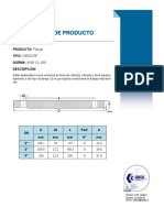 Ficha de Producto CIEGO RF ANSI CL-300 2 3 4