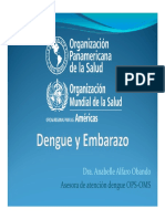 05_Dengue_y_embarazo_Dra_Alfaro.pdf