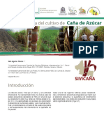 CAÑA_DE_AZÚCAR,_FICHA_TÉCNICA.pdf