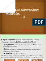 326299433-Contraccion-Muscular.ppt