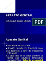 Aparato Genital