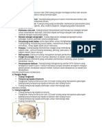 Biologi Sistem Gerak