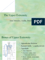 Upper Extremity Helpful