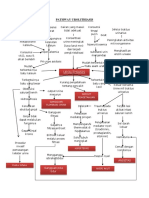 Pathway Urolithiasis