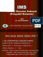 Ims Dokter Ary