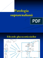 Endocrine-suprarenale.ppt.ppt