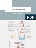 Faal Adrenal