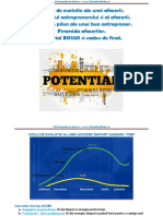 PDF – Planificarea Strategica a Afacerii – Sebastian Bala