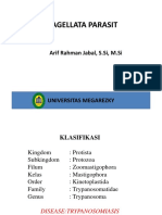 Flagellated Parasites and Trypanosomiasis Diseases