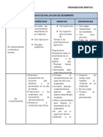 Organizador Grafico