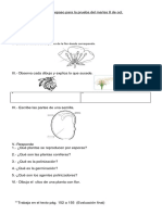 Guía Ciclo de Las Plantas