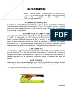 14-Texto-expositivo-Los-canguros-Jairo.pdf