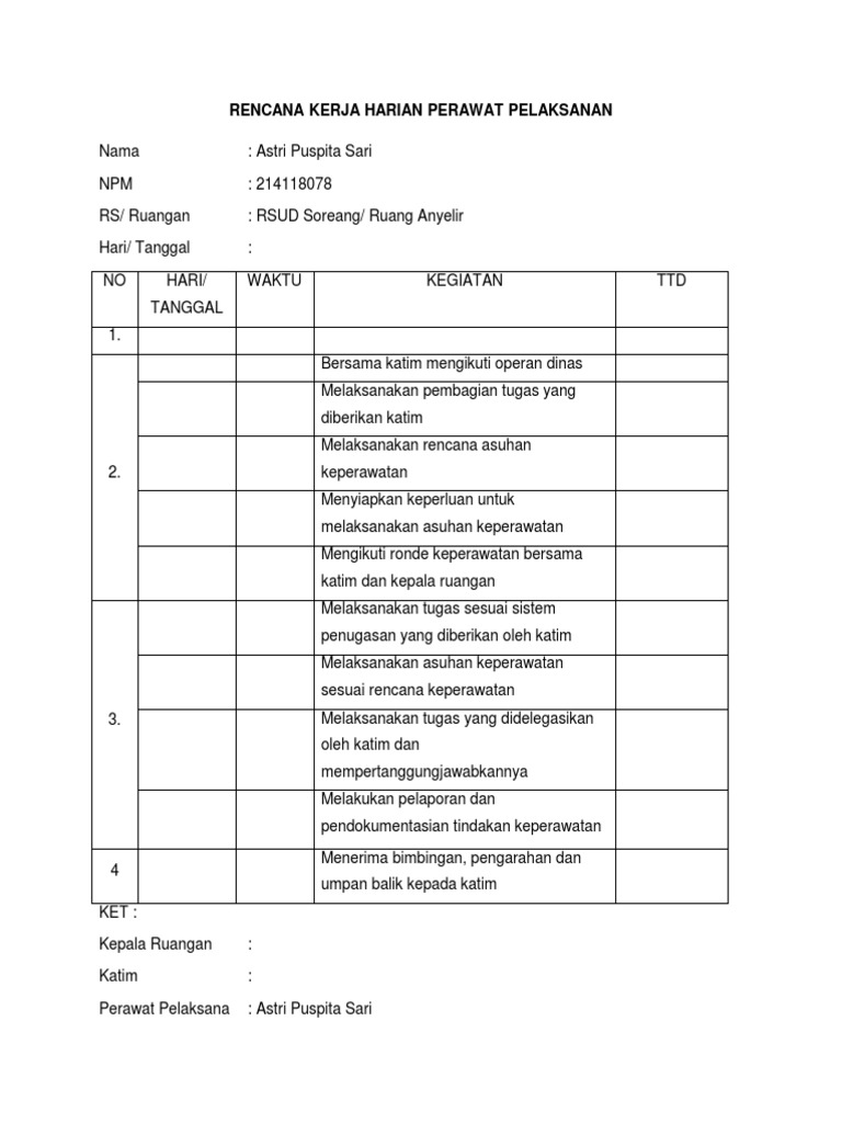 Rencana Kerja Harian Perawat Pelaksana | PDF