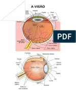 A Visão