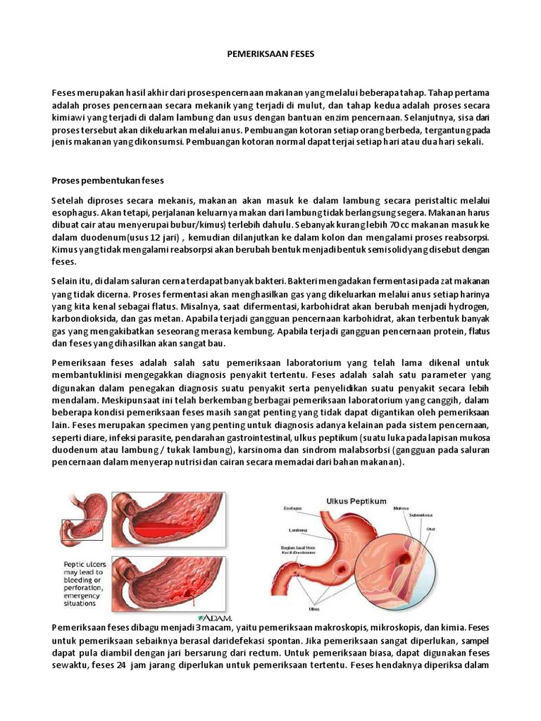Proses dan Pemeriksaan Feses | PDF