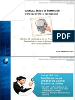 PROGRAMA BÁSICO DE FORMACIÓN para Auditores y Abogados PDF
