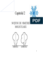 Simetrie PDF