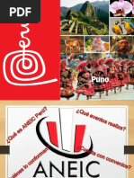PRESENTACIÓN ANEIC