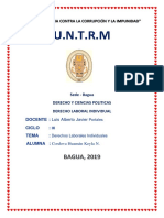 Derecho Laboral Individual