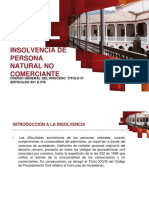 INSOLVENCIA-DE-PERSONA-NATURAL.pdf