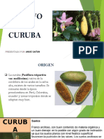 Cultivo de Curuba