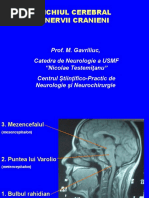 Trunchiul Cerebral Nervii Cranieni