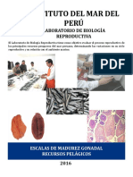 Cartilla - Pelagicos PDF