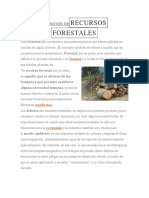 Definición de Recursos Forestales