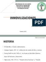 2 Inmovilizaciones