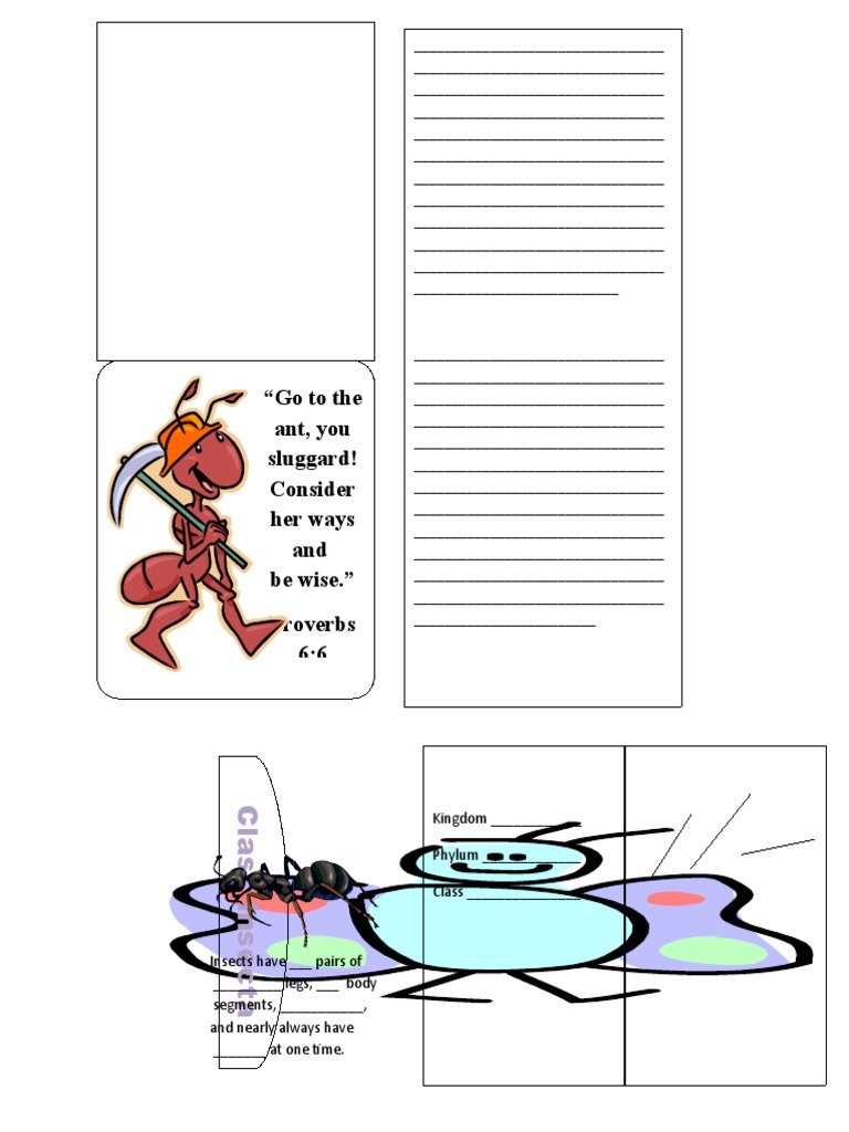 Science Class Insect and Copywork Booklets | PDF