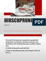 Hirsch P Rung