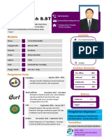 Curriculum Vitae