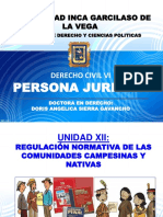 5 Uigv 01-12 Persona Juridica