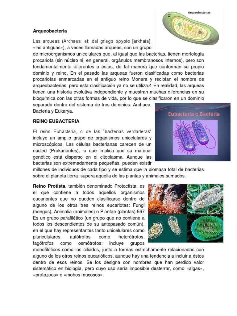 Ar Que o Bacteria | PDF | Plantas | Archaea
