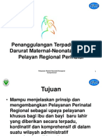 PELAYANAN REGIONAL PERINATAL