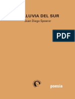 Juan Diego Spoerer - La Lluvia Del Sur