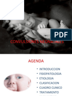 Convulsiones Neonatales