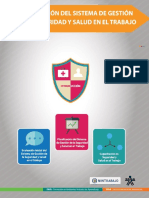seguridad y gestion.pdf