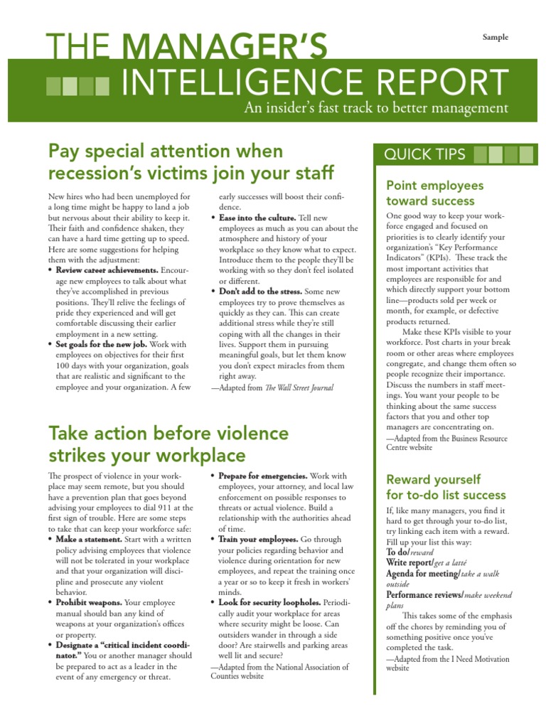 2P The Manager S Intelligence Report | PDF | Anger | Employment
