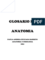 Glosario Anatomia