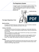 The Respiratory System: Mouth and Nose