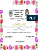 Marian Damiles: Certificate of Appreciation